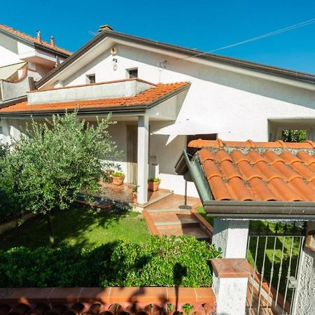 B&B Il Girasole Ortonovo Dış mekan fotoğraf