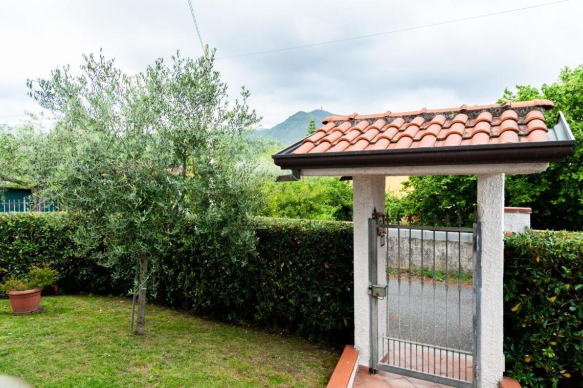 B&B Il Girasole Ortonovo Dış mekan fotoğraf